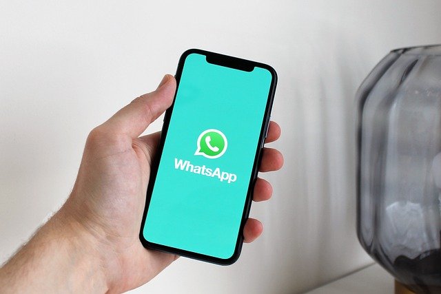 Whatsapp Business: como funciona?